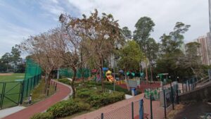 sai-tso-wan-recreation-ground-playground-4